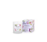 Debenhams Verdant Candle