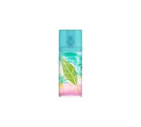 Debenhams Women's Green Tea Coconut Breeze Eau de Toilette Spray in Misc | Size: 100ml