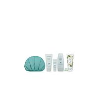 Debenhams Women's Orange Flower Gift Collection in Misc