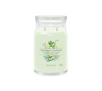 Yankee Candle Signature Scented Candle | Cucumber Mint Cooler Large Jar Candle with Double Wicks | Soy Wax Blend Long Burning Candle | Perfect Gifts for Women