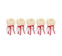 DEBKSGEOTI 5Pcs Dental Root Canal Pulp Cavity Teeth Model Endodontic Practice RCT Typodont M8007 11 14 16 21 33 34 35 36 44 45 Practicing Study Teach (5Pcs-M8007-16 )