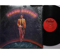 Deborah Allen - Trouble In Paradise