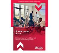 Debt Management and Financial Analysis System Programme Annual Report 2024