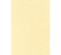 DECAdry Letterhead Presentation Paper Everyday 95gsm A4 Champagne Ref DPPCL1601