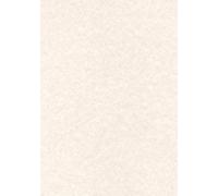 Decadry - Parchment Warm Grey Paper 95gsm Pack of 100