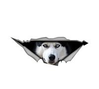 Decal 3D Dog Husky Animal Car Sticker on Motorcycle Laptop Decorative Accessories13CM/17CM(10 CM)