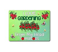 decalarama Allotment Metal Sign Gift - I Love Gardening From My Head Tomatoes - Cute Fun Novelty Garden Aluminium Present