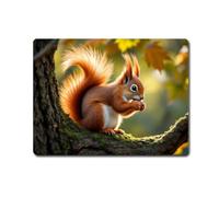 Decalarama Animal Metal Sign Gift - Red Squirrel On A Branch - Fun Cute Garden Wildlife Novelty Present