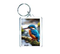 Decalarama Bird Keyring Gift - Kingfisher In A Tree - Fun Cute Garden Wildlife Novelty Present