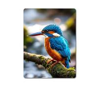 Decalarama Bird Metal Sign Gift - Kingfisher In A Tree - Fun Cute Garden Wildlife Novelty Present