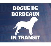 Decalarama Car Sticker Dogue De Bordeaux In Transit Nice Fun Cute Novelty Warning Van Window Bumper Boot Door Decal
