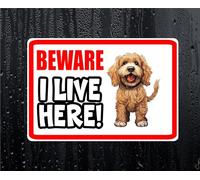 Decalarama Cockapoo Sticker - Beware I Live Here - Cute House Home Window Door Porch Dog Warning Decal