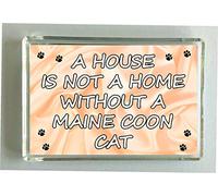 Decalarama Maine Coon Cat Fridge Magnet - Novelty Gift - A House Is Not A Home Without - Pet Lover Present Magnet