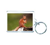 Decalarama Red Squirrel Keyring Photo Gift - Cute Custom Novelty Key Ring Gift Present Key Chain