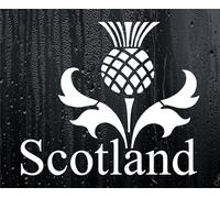 Decalarama Scottish Scotland Thistle Car Van Sticker Window Boot Bumper Laptop Mirror Decal