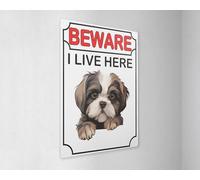 decalarama Shih Tzu Metal Sign Gift - Beware I Live Here - Cute Fun Dog Novelty Aluminium Present