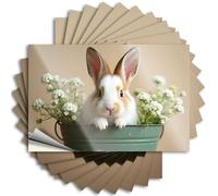 Decals Bumper Scratch Resistant Decals, Aesthetic Matte Print for Phone Case Narrow | Mimosa Uv Proof Pack A Cute Bunny in A Bucket with Flowers(6X9CM)