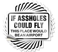 Decals for Cars If Assholes Could Fly This Place Would Be an Airport Funny Sticker 10 Pcs Funny Garage Signs for Men Tool Box Stickers(8X12CM)