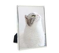 DECANIT 4x6 Picture Frame Metal, Thin Profile Photo Frame 4 by 6 Inch, Display for Wall or Tabletop,Silver