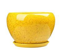 Decbde Simple Flower Pot Chinese Style Yellow Flower Glaze Ceramic Pot Indoor Large Succulent Plant Pot with Tray Outdoor Balcony Breathable Planter Exquisite Orchid Plant Pot (Size : L)