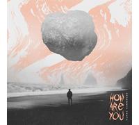 DECEMBER YOUTH - HOW ARE YOU VINYL LP NEW