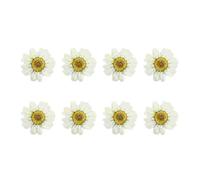 DECHOUS 12pcs White Dried Daisy Pressed Flowers for Crafts and Scrapbooking, Beautiful Handmade Flower Accessories for Cell Phone Cases and Art Glass Crafts, for Parties and Christmas