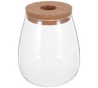 DECHOUS 2 Sets Hydroponic Glass Container Vase Jars with Wood Cork Stopper and Bamboo Tray Base for Water Propagation of Leaf Cuttings and Orchids, Lasting Clarity and Air Purifying,