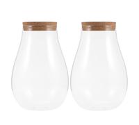 DECHOUS 2pcs Moss Eco Bottle Glass Terrarium Container Micro Landscape DIY Hydroponic Vase for Indoor Plants