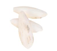 DECHOUS 3 Pcs Cuttlebone Chew Toy for Parrots Calcium Molar Pendant 14-18cm Cuttlebone Biting Toy for PET Birds Suitable for Cage and Balcony Use