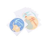 DECHOUS Assorted Colour Month Stickers for Photos and Scrapbooking, Beautiful Paper Milestone Stickers to Record First Year Milestones, for Newborns and Holiday Memories