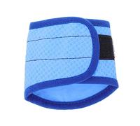 DECHOUS Breathable Cooling Pet Scarf Lightweight Dog Bandana for Hot Summer Comfortable Neck Wear for Outdoor Activities for Walking Jogging and Mountain Climbing Blue Design