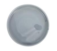 DECHOUS Ceramic Round Plant Saucer Water Catcher Tray for Indoor Outdoor Garden Pots High Temperature Resistant with Water Cultivation Design Suitable for Brazilian Wood and Various Plants