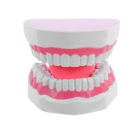 DECHOUS Dental and Oral Teaching Model for Students with Realistic PVC Structure Simulation, Multifunctional 6 Times Enlarged Teeth Study Prop for Dental Education at Home Practice