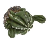 DECHOUS Green Resin Reptile Box Hide with Cactus Shape, Simulation Small Cave Decoration Providing Hiding Spot for Hamster and Lizard in Reptile Tank, Snake Terrarium Accessory