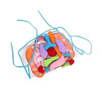 DECHOUS Human Organs Apron Educational Teaching Tool for Preschool Kindergarten Body Anatomy Learning Aid Early Education Cognitive for Boys