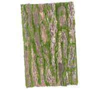 DECHOUS Natural Tree Bark Reptile Climbing Bark Terrarium Decor Habitat Backdrop for Lizards Chameleons Turtles Bearded Dragons Small Pets