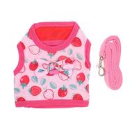 DECHOUS Pet Leash for Small Pets like Rabbit Squirrel Hamster Made of Material This Walking Rope Is for Outdoor Activities and Prevents Escaping for Training and Daily Walks