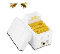 DECHOUS Practical Bee Mating Box Made of Light-colored Pp and Foam Material, Safe and Sturdy Beekeeping Tool for Efficient Bee Storage and Hive Management