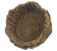 DECHOUS Reptile Water and Feeding Dish Set, Wood Grain Style Water and Food Basins for Spiders, Lizards, and Tortoises - Suitable for Indoor Pet Habitats and Enclosures
