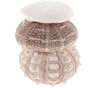 DECHOUS Sea Urchin Shell Beautiful Vibrant Shell Material Air Plant Pots 3pcs with Smooth Edges for Dining Tables and Small-scale Fish Tanks for Desktop Decor