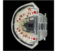 Deciduous Teeth Model - Primary and Permanent Teaching Aid for Dental Education and Display