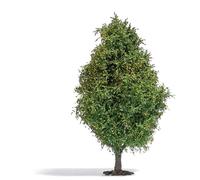 Deciduous tree 115 mm, late summer HO/OO Gauge Busch 3723