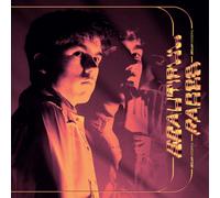 Beautiful Faces (Skream Remix) / The Key To Life On Earth (Tsha Remix) [VINYL]