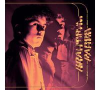 Beautiful Faces (Skream Remix) / The Key To Life On Earth (Tsha Remix) [VINYL]