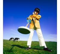 Declan McKenna - What Happened to the Beach? - Vinyl / 12" Album