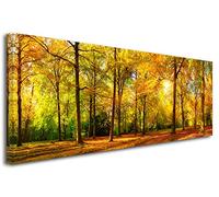Declina Autumn Forest Print Panoramic Picture - Landscape Photo Print on Canvas Wall Decoration - Home Decoration, Kitchen, Living Room, Adult Room - 120 x 50 cm