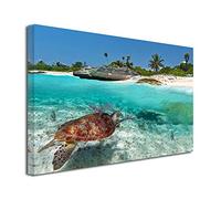 DECLINA Marine Turtle Picture 100 x 60 cm Large Reproduction - Landscape Photo Print on Canvas Wall Decoration - Home, Kitchen, Living Room, Adult Bedroom 50x30 cm