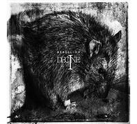 Decline Of The I – Rebellion – CD – Plus Minus Zero