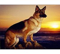 Decmart 5D Diamond Painting Full Drill Square German Shepherd Dog Diamond Painting by Number Kits for Home Wall Decor