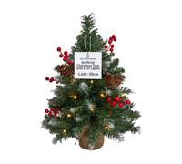 Deco Express Christmas Tree With LED Lights 0.5m in Green Deco Express Green